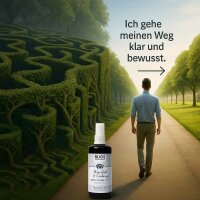 Bijos Edelstein Essenz Spray „Klarheit & Ordnung“ 100 ml – Diamant, Bergkristall & Weißer Citrin