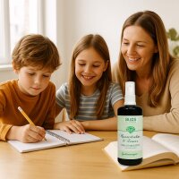 Bijos Edelstein Essenz Spray „Konzentration & Lernen“ 100 ml – Mookait, Chrysoberyll, Selenit & Bergkristall