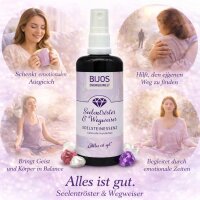 Bijos Edelstein Essenz Spray „Seelentröster & Wegweiser“ 100 ml – Magnesit, Roter Jaspis & Amethyst