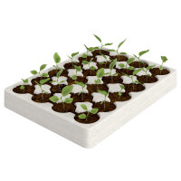 Bitto Adventskalender– 24 festliche Räucherwerke | Nachhaltig & vielseitig