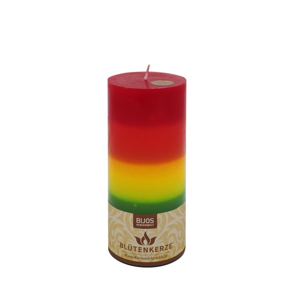 BIJOS Blütenkerze Regenbogen – 19 cm hoch, Ø 8 cm, Brenndauer ca. 90 Stunden